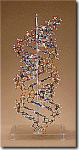 B-5003/DNA-A Set
